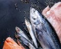 Recepty na skvělé jídla z lososa, tuňáka a tresky!